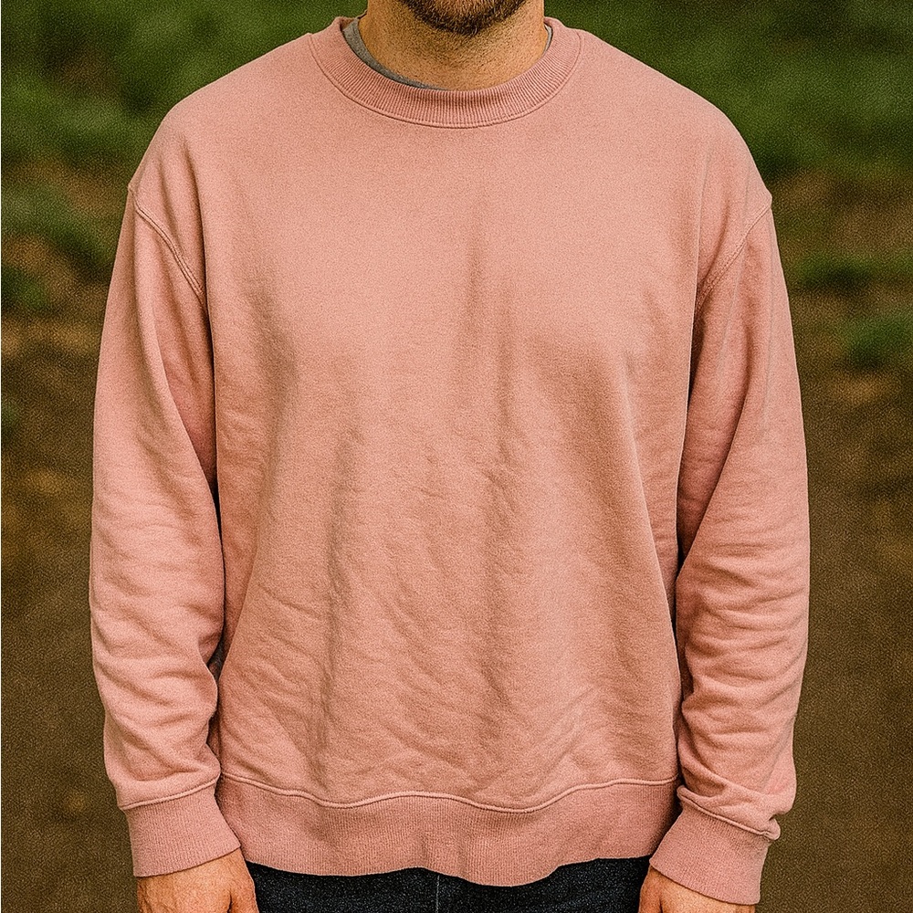 Goodfellow & Co Men's Blush Crewneck Sweater